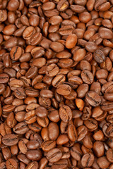 coffee beans background