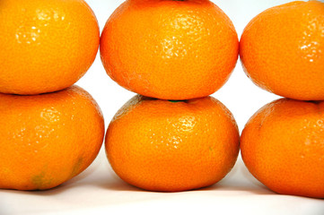 six tangerines/satsumas