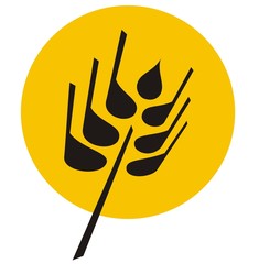 grain - wheat illustration