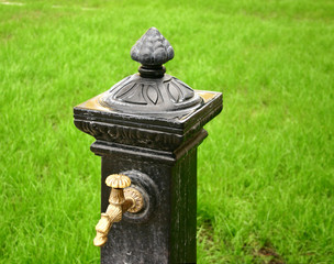 the hydrant
