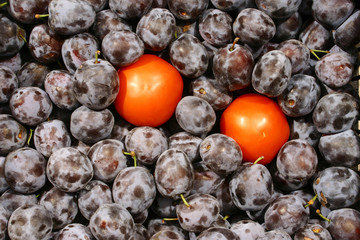 the tomatoes in plums