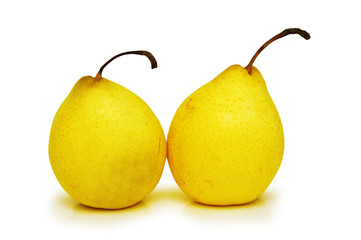 two yellow pears isolated on the white