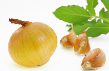 onion and garlic-b