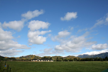 Fototapeta premium farm