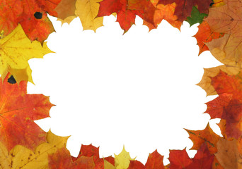 Naklejka na ściany i meble autumn maple frame