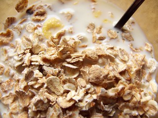 difference cereal in the dish