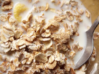 difference cereal in the dish