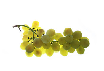 grapes