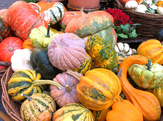 small pumpkins