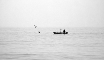 barca de pesca y gaviotas