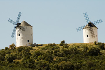 molinos de viento