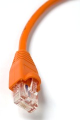 orange network cable