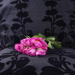 yesterday's pink roses left at a black velvet seat