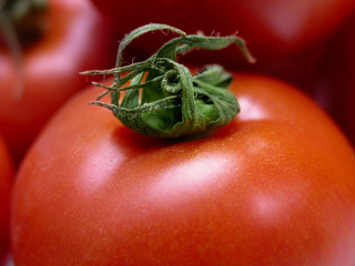 tomato
