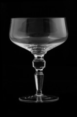 champagne glass