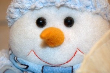 snowman with carrot nose