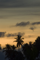 sunset in sabah