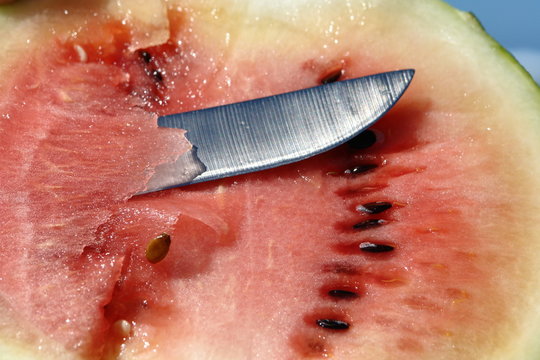 trancher un fruits