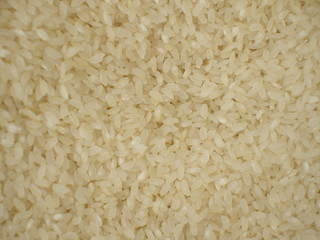 rice in bulk