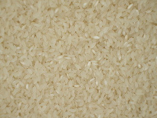 rice in bulk