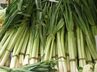 Obraz premium spring onions