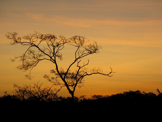 Fototapeta premium meruoca sunset