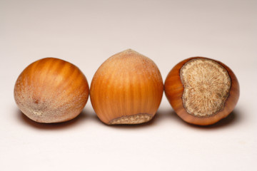 trois noisettes
