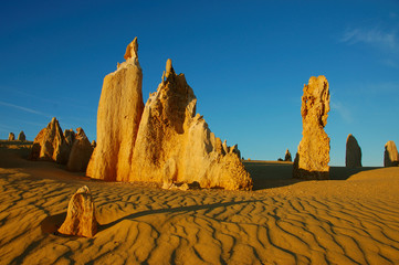 pinnacles at sunrise in cervantes np, wa