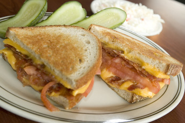 grilled cheese sandwich
