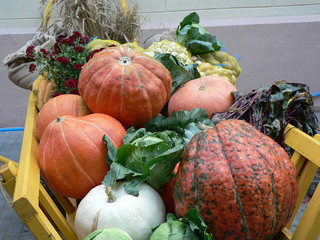 pumpkin