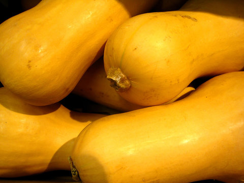 Butternut Squash