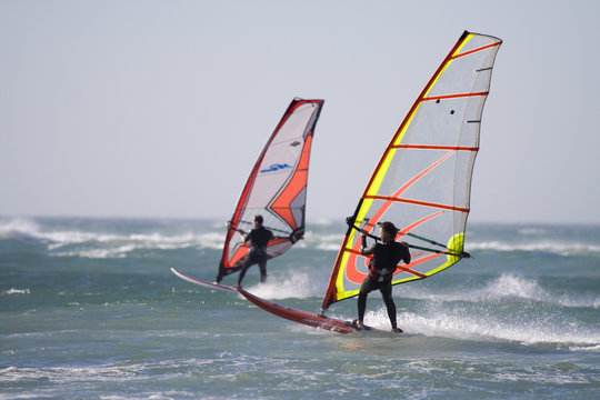 windsurfer