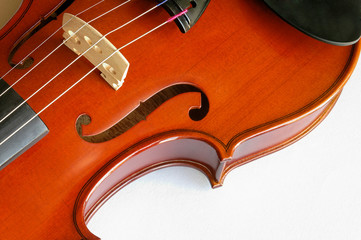 musical instruments: violin closeup showing the br