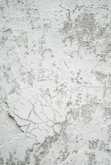 wall