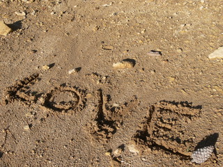 love