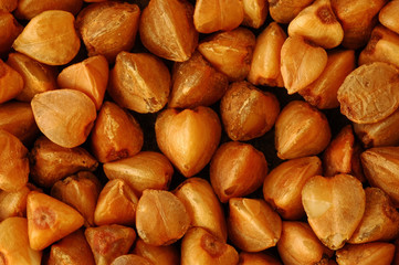buckwheat