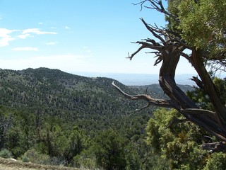 stock photo of colorado reeder mesa landscape