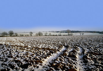 farmland winter