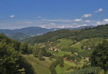 im schwarzwald