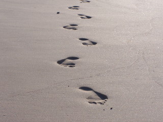 spuren im sand von tobago