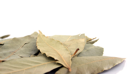spice - bay leaves close up