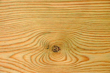  wood knot and wood rings background.