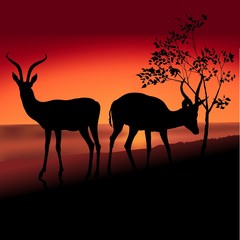 Fototapeta na wymiar antelope silhouette b