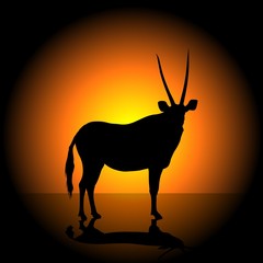 antelope silhouette d