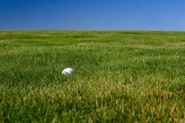 golf ball grass