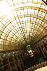 the entrance of light