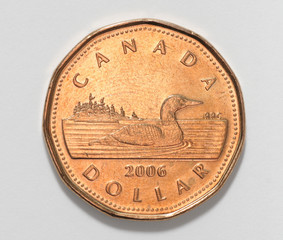 canadian dollar coin