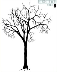 tree silhouette 06
