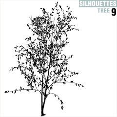 tree silhouette 09