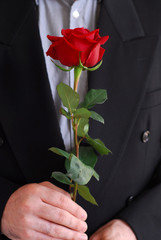 man red rose